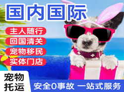 南阳姜营机场托运国际宠物托运 【国